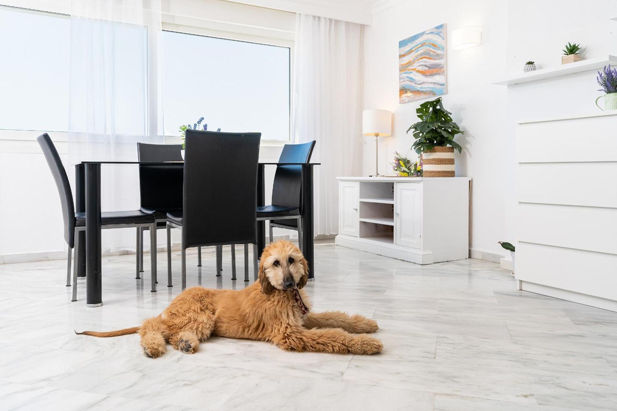 Ferienwohnung Monko Bora Bora Benalmádena Exterior foto